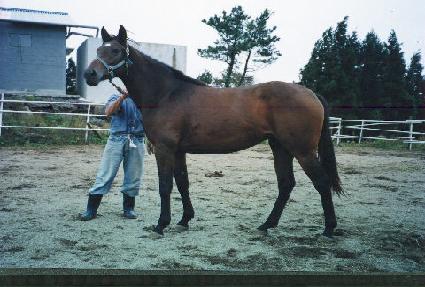 ������ ����