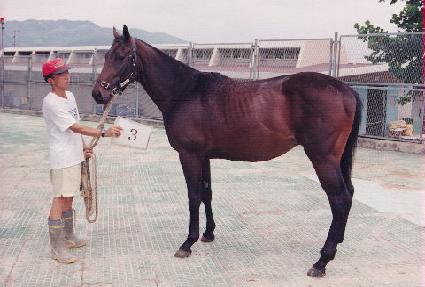 ��۸��� ����