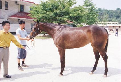 ���� ����