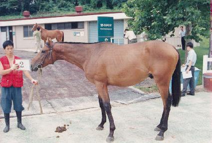 ����������� ����