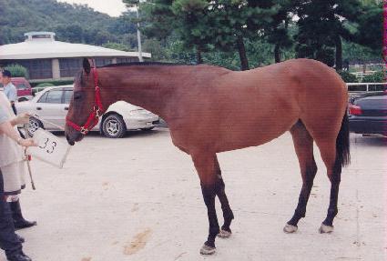 �븶�� ����