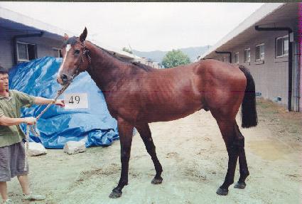 ���ѻ� ����