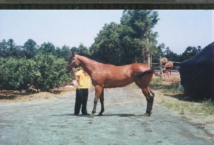 ǳ�� ����