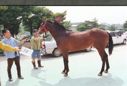 ������ ����