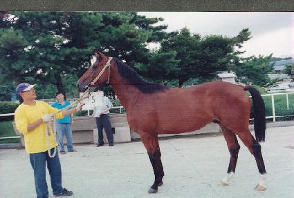 ū�Ҹ� ����