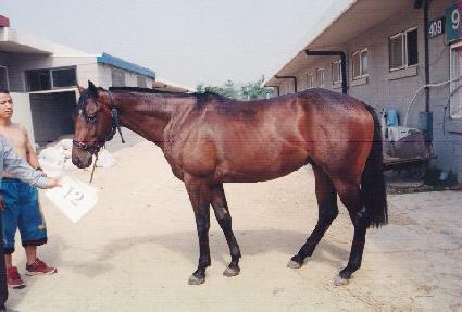 ���ڰ� ����