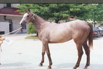 �ڱ��� ����