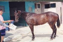 ��������� (YEONSU DAEGICH��A) ����