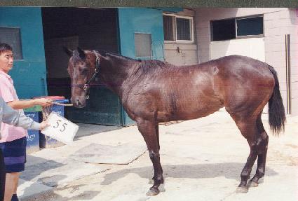 ��������� ����