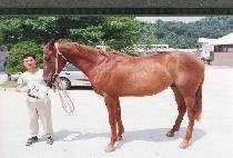 ��޴� (UDALDAL) ����