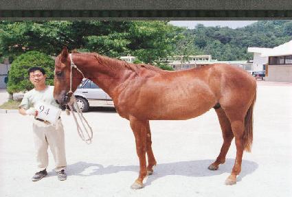 ��޴� ����