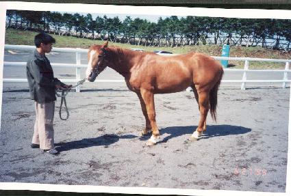 ��������ũ ����