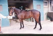 õ�� (CH��EONDONG) ����