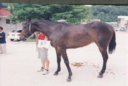 ���� ����