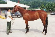 �⸲ (KIRIM) ����