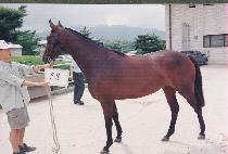 ���� (SUYEONG) ����