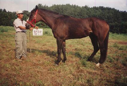 �Ѷ���� ����