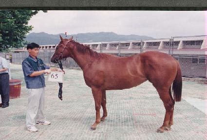 ���ͽ������� ����