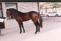 ȭ����� (HWADONG EONDEUK) ����