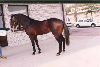 ȭ����� ����