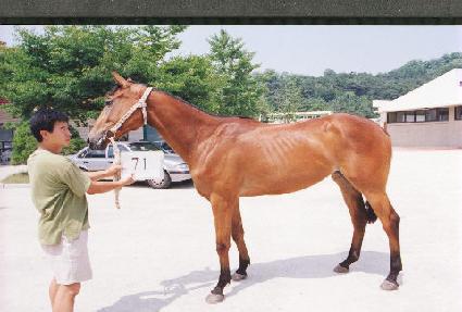 ������ ����