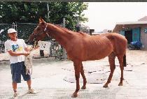 ����� (KODAEGYEONG) ����