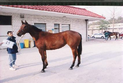 �׶󳪴� ����