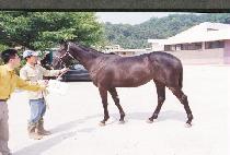 ������ (KEUMEUNDONG) ����