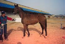 ��¿� (SANGSEUNG-WON) ����