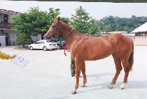 ��� (KIWON) ����