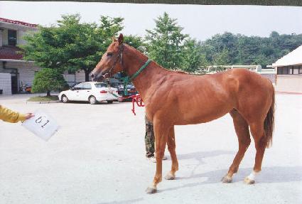 ��� ����