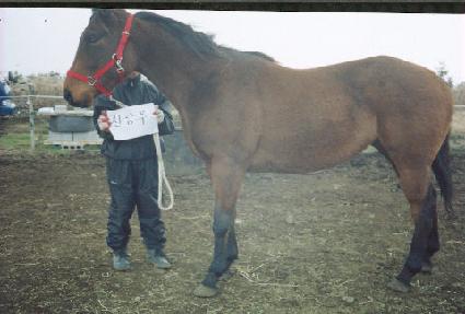 õ�� ����