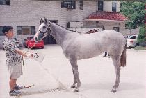 ��±��� (SANGSEUNG KUNDAN) ����