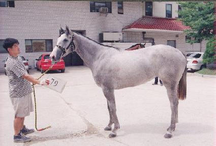 ��±��� ����