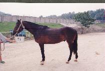 ��° (SANGSEUNG KOKSEON) ����