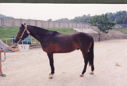 ��° ����