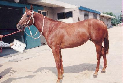 ���ϼ��� ����