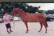 Ȱ���� (HWALSAWI) ����