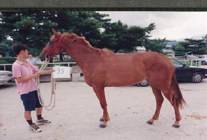 Ȱ���� ����