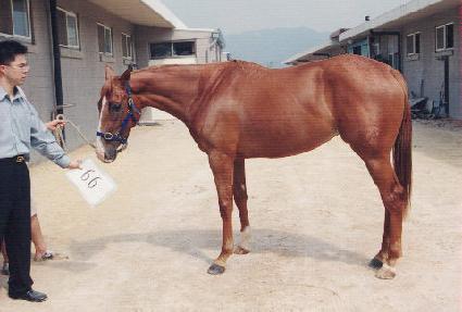 ���õ ����