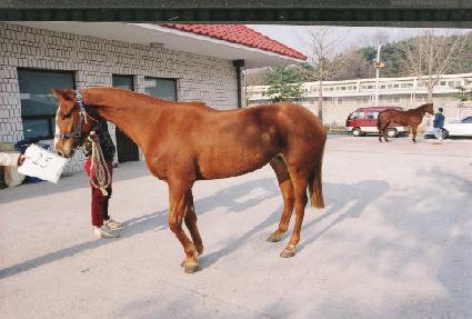 ���ҷ� ����