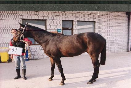 �ٴٻ��� ����