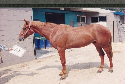 ���� ����