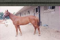 �����ѿ��� (CHANLANHANYUNGGANG) ����