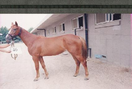 �����ѿ��� ����