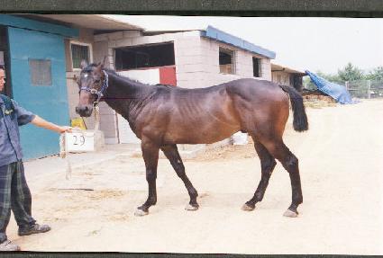 �������� ����