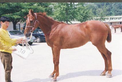 ������ ����