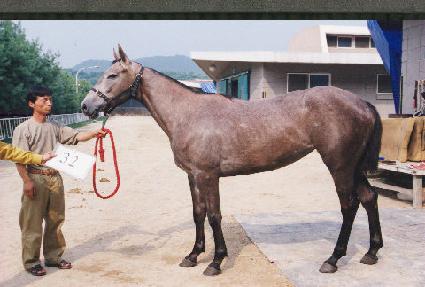 ���ù����� ����