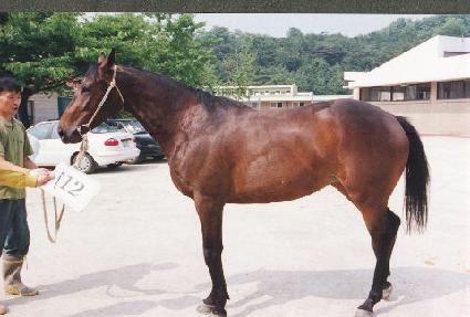 �����屺 ����