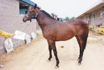 �޳��� (KKUMNARAE) ����